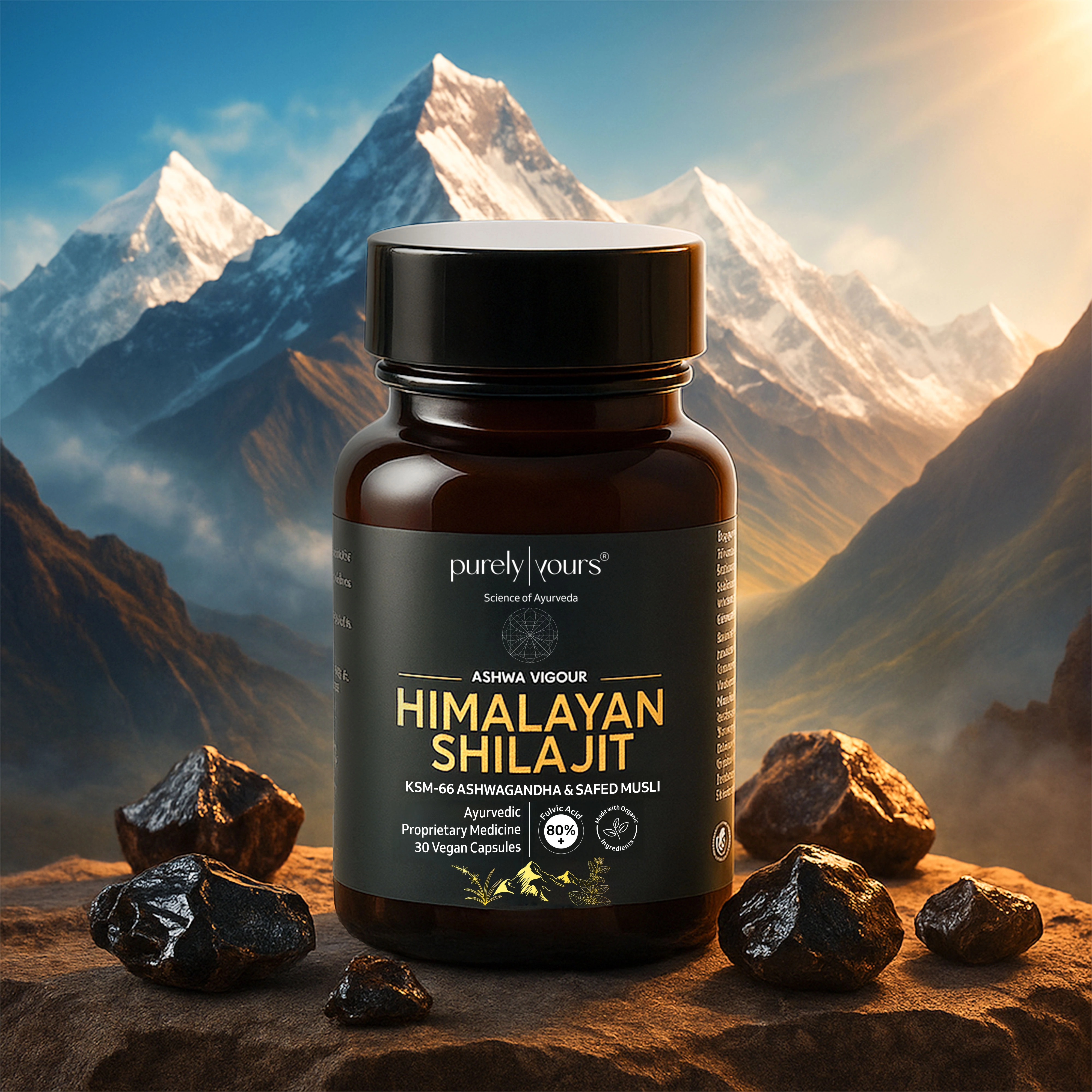 Himalayan Shilajit Capsules